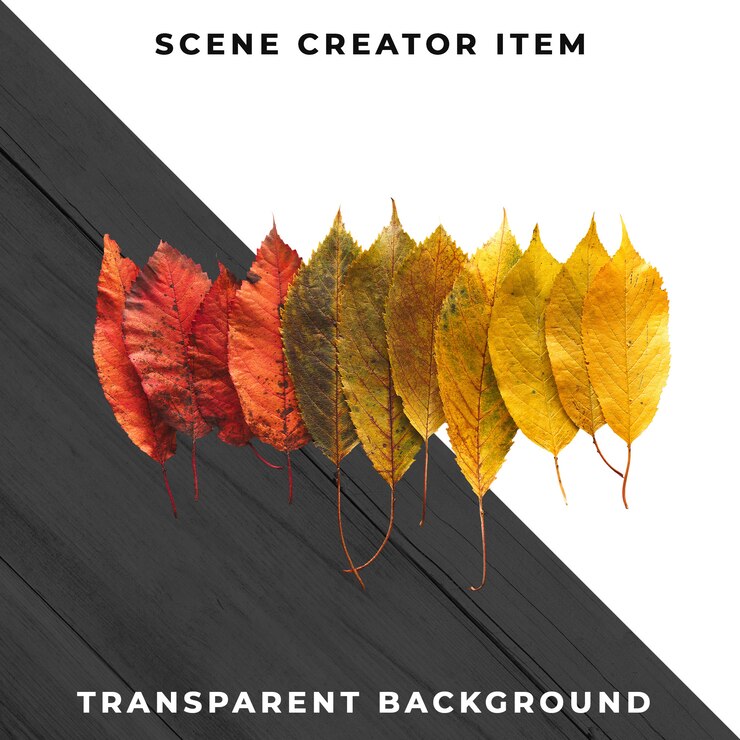 Houten blad transparant PSD