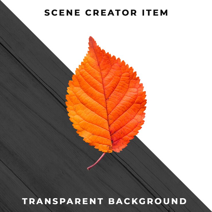 Houten blad transparant PSD