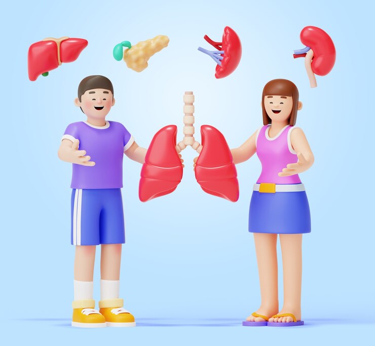 PSD Gratis human organs character composition