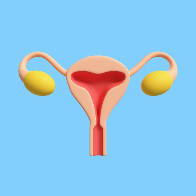 icono 3d para educación sexual con vagina y ovarios