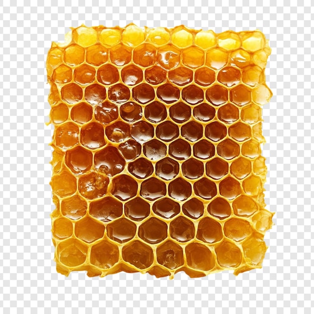 Il nido d'ape delizioso dell'oro della natura dolcezza