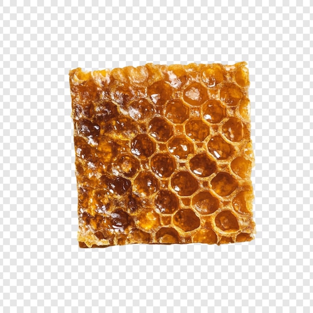 Il nido di miele un delizioso dolce naturale