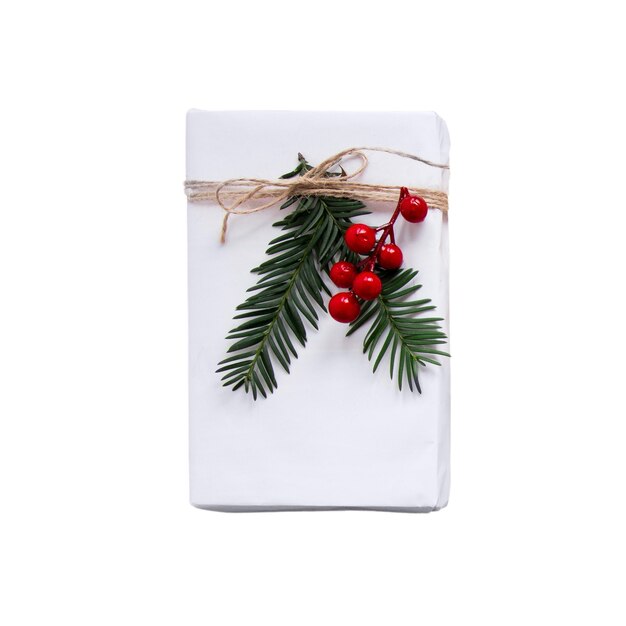 Il regalo di Natale isolato.