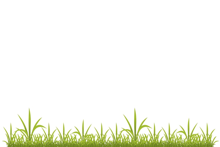 Gratis PSD illustratie van geïsoleerd gras