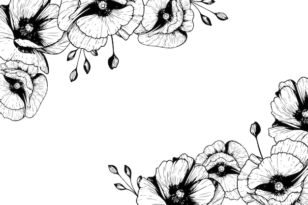 Illustrazione del confine dei fiori botanici