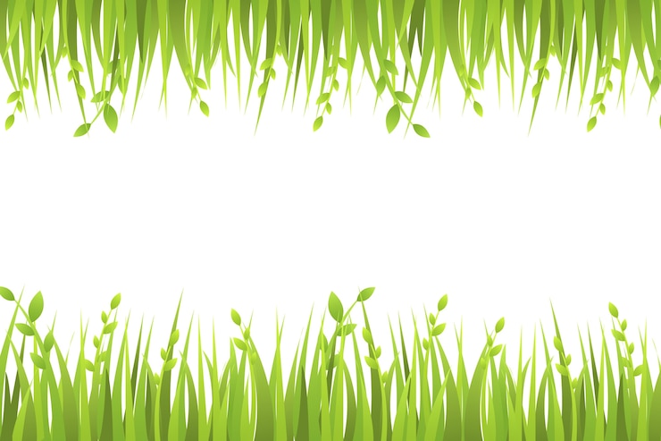 PSD gratuito illustrazione isolata dell'erba
