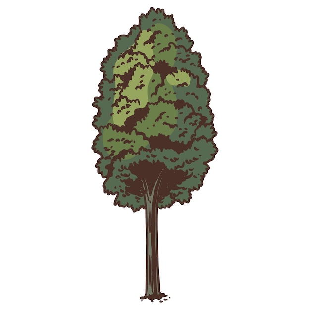 Ilustración de árbol dibujada a mano aislada