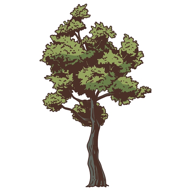 Ilustración de árbol dibujada a mano aislada