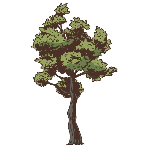 Ilustración de árbol dibujada a mano aislada