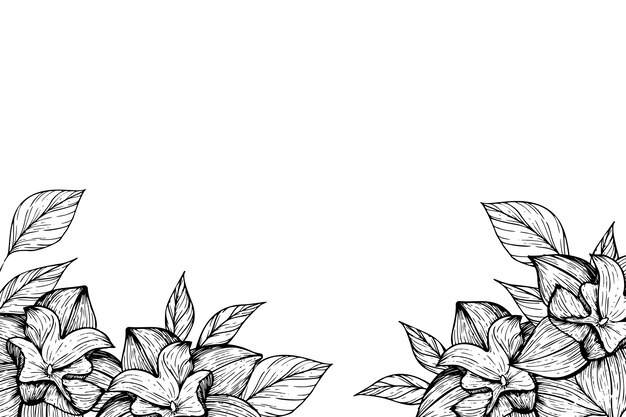 Ilustración de borde de flores botánicas
