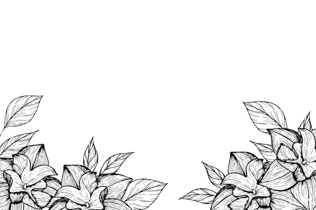 Ilustración de borde de flores botánicas