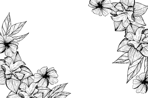 Ilustración de borde de flores botánicas