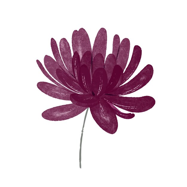 Ilustración detallada de flores de acuarela