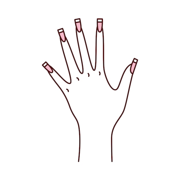 Ilustración de estudio de uñas