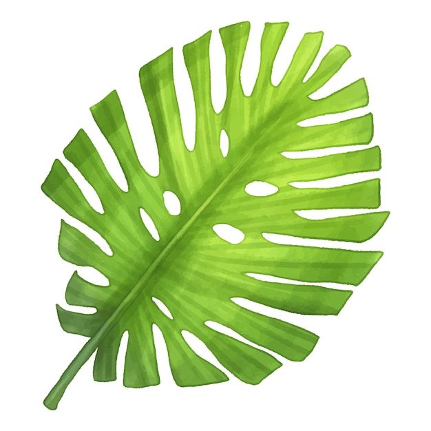 Ilustración de hojas tropicales en acuarela