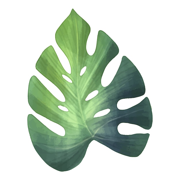 Ilustración de hojas tropicales en acuarela