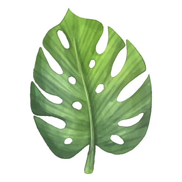 Ilustración de hojas tropicales en acuarela