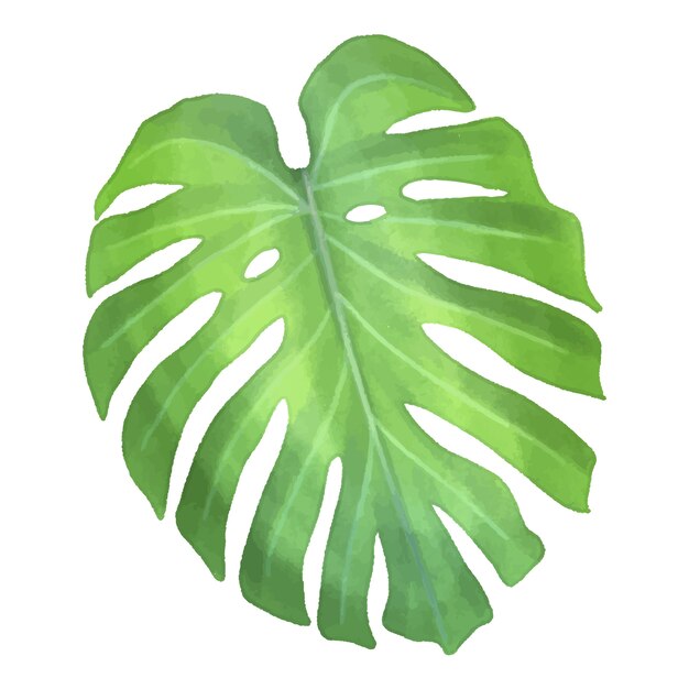 Ilustración de hojas tropicales en acuarela