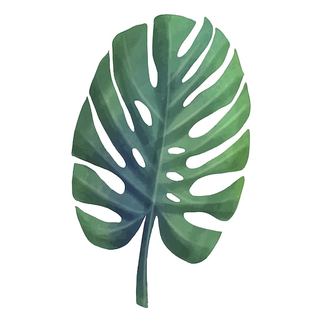 Ilustración de hojas tropicales en acuarela