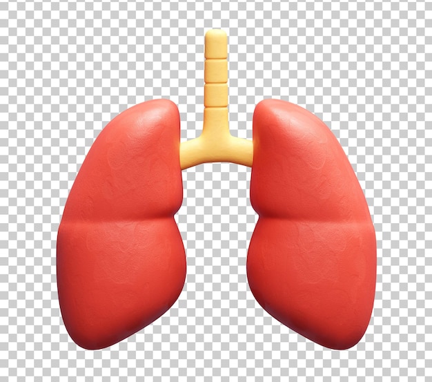 Ilustración del icono 3D de los órganos humanos de los pulmones
