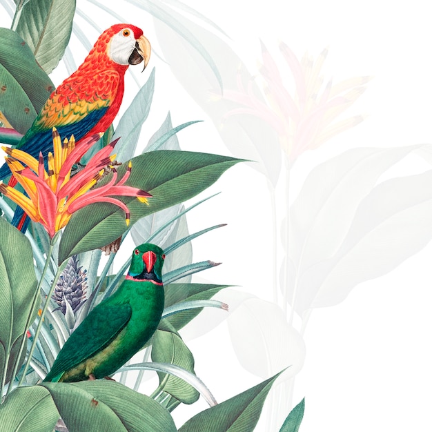 Ilustración de maqueta tropical de guacamayo