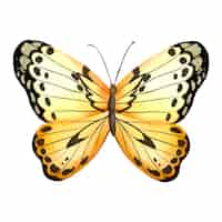 PSD gratuito ilustración de mariposas en acuarela