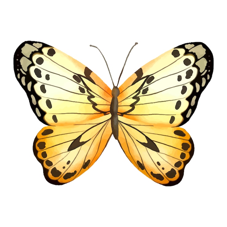 PSD gratuito ilustración de mariposas en acuarela