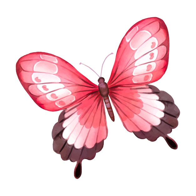 Ilustración de mariposas en acuarela