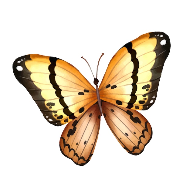 PSD gratuito ilustración de mariposas en acuarela