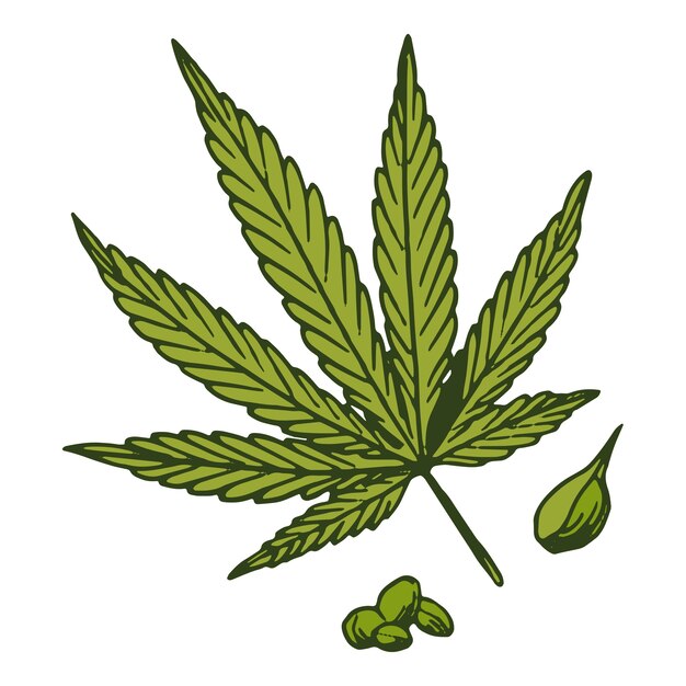 Ilustración de una planta de maleza aislada