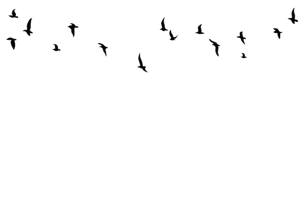Ilustración de silueta de pájaro