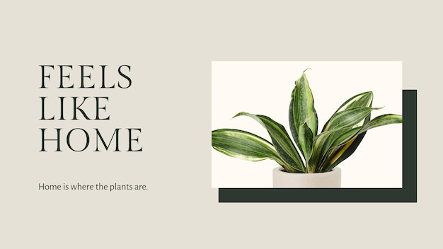 Gratis PSD inspirerende citaat botanische sjabloon psd met sansevieria plant blog banner in minimalistische stijl