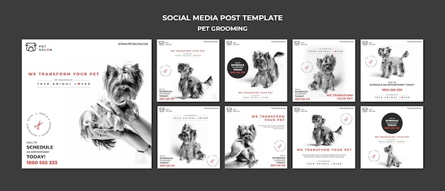 Gratis PSD instagram-berichtenpakket voor een dierenverzorgingsbedrijf