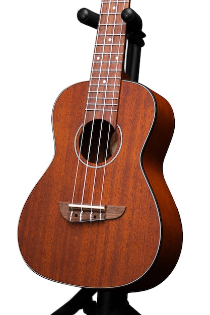 Instrumento musical aislado