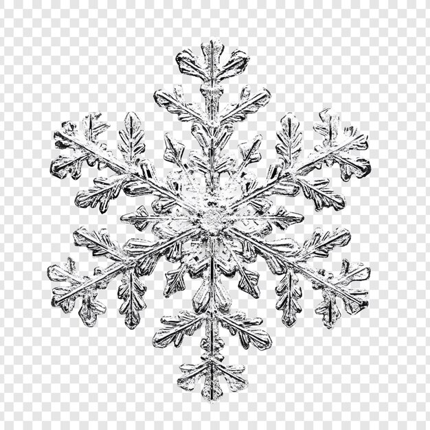 Intrincada fotografía macro de copos de nieve Un país de las maravillas de invierno de cerca