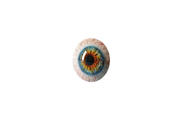 El iris del ojo aislado