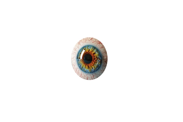 El iris del ojo aislado