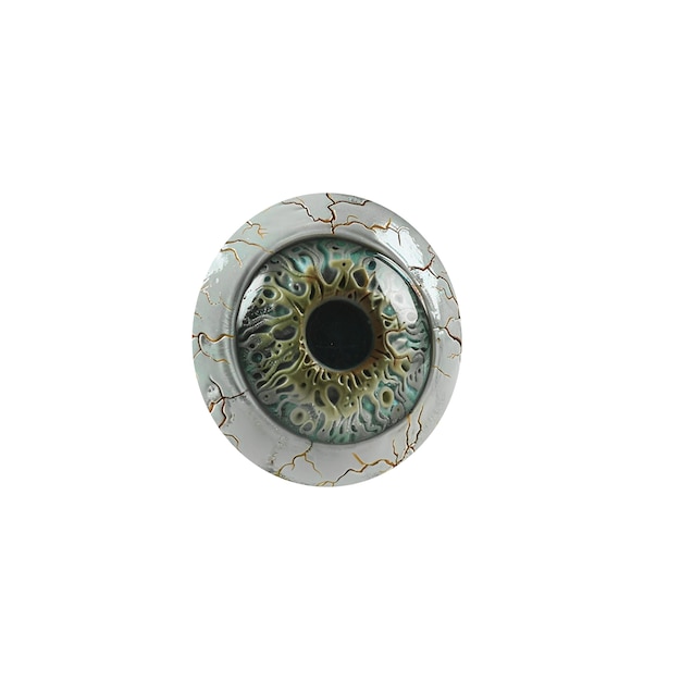 El iris del ojo aislado