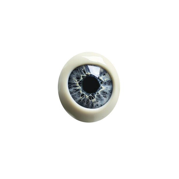 El iris del ojo aislado