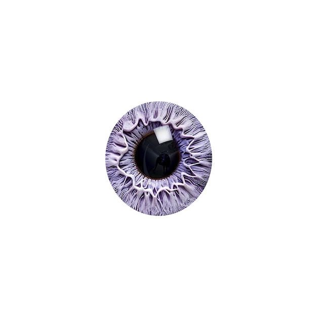 El iris del ojo aislado