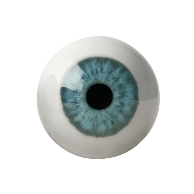 Iris del ojo aislado