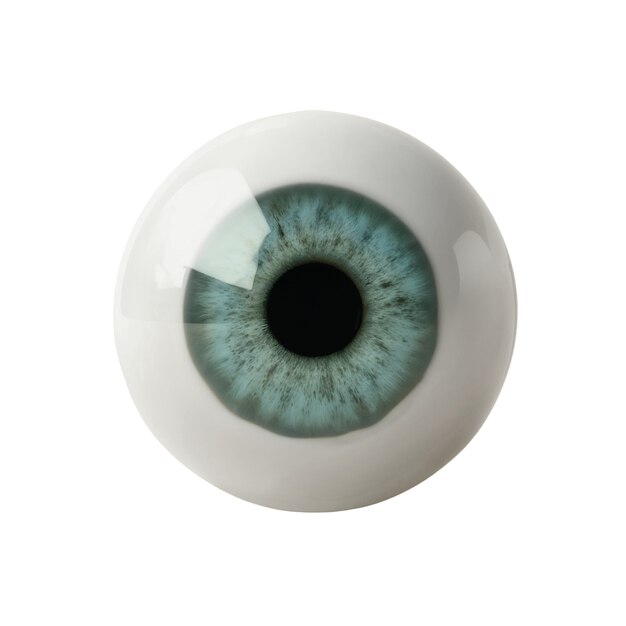 Iris del ojo aislado