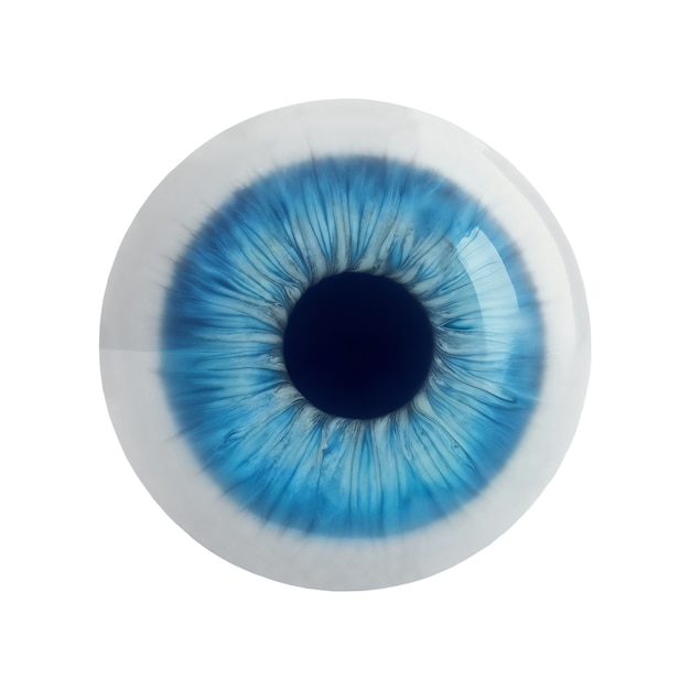 Iris del ojo aislado