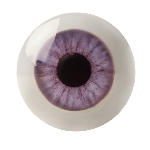 Iris del ojo aislado