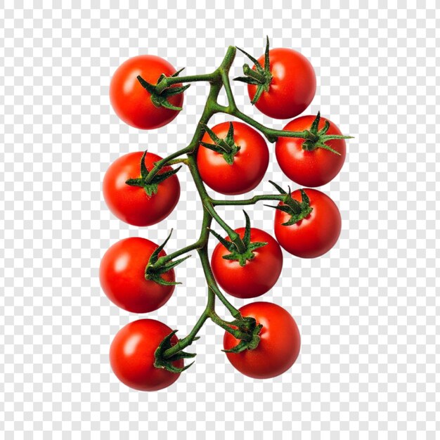 Los jugosos tomates de cereza en la vid