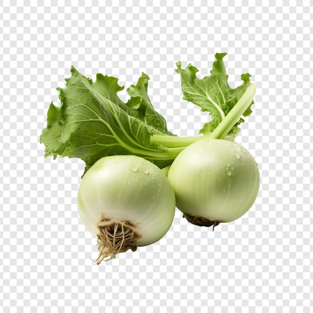 Gratis PSD kohlrabi geïsoleerd op een doorzichtige achtergrond