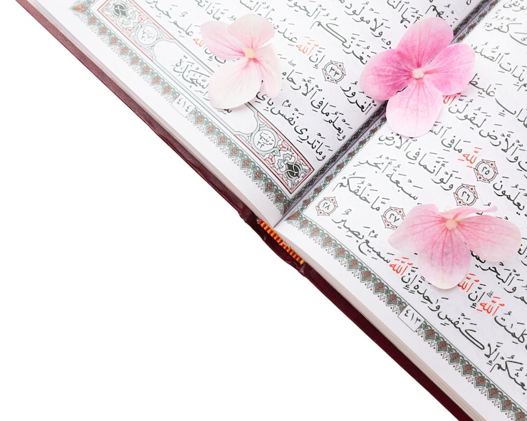 Gratis PSD koran boek geïsoleerd