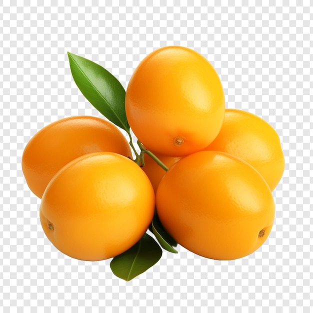 Gratis PSD kumquat geïsoleerde vruchten op transparante achtergrond