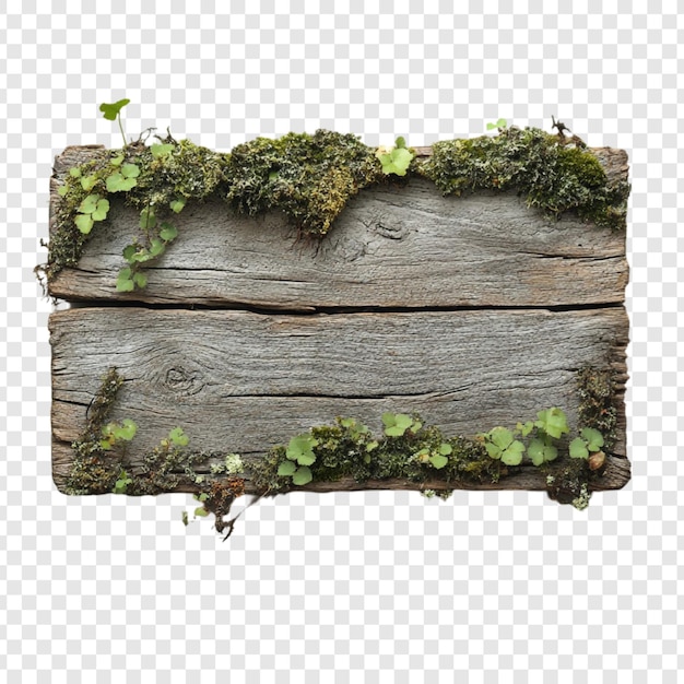 Letrero de madera rústico con musgo y plantas