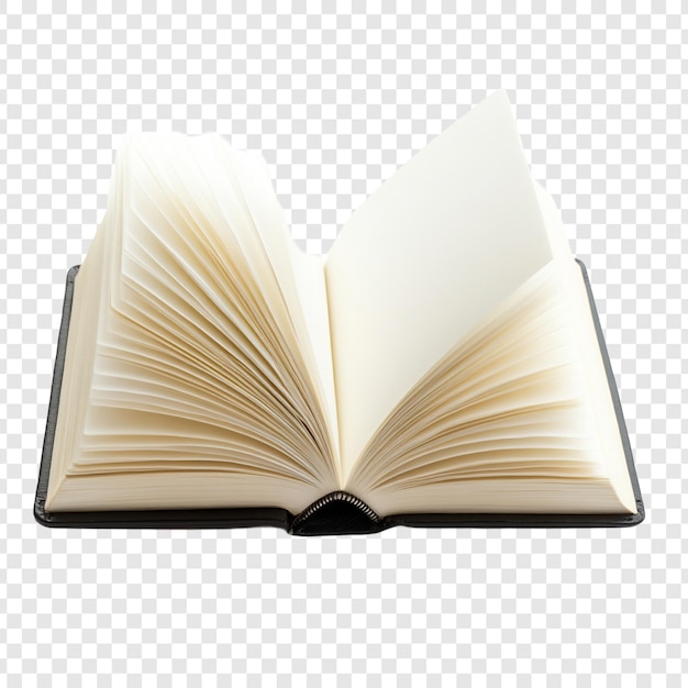 Libro aperto Pagine bianche Conoscenza Lettura Letteratura Educazione Saggezza Storia